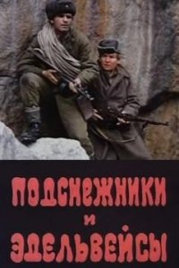 Подснежники и эдельвейсы