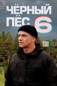 Чёрный пёс 6 сезон 1, 2, 3, 4 серия смотреть онлайн (сериал 2024 - 2025)