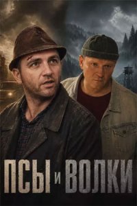 Псы и волки 1-10 серия смотреть онлайн (сериал 2025 - 2026)